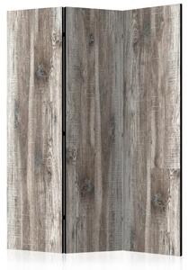 Paravento Legno Elegante - sfondo marrone con tavole