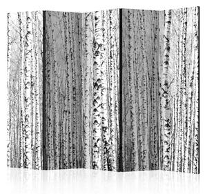 Paravento design Bosco Betulle II - composizione tra alberi