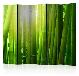 Paravento Sole in mezzo al verde II - foresta di pali di bambù
