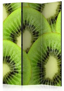 Paravento design Fette di kiwi - frutta tropicale di colore verde