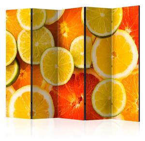 Paravento Agrumi II - modello con frutti tropicali arancioni