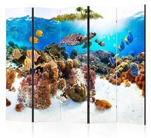 Paravento design Barriera corallina II - pesci, piante, fondo marino