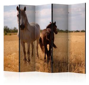 Paravento design Cavallo e Puledro II - animali selvatici in un paesaggio