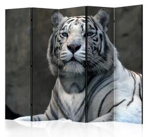 Paravento separè Tigre Bengala Zoo II - composizione felino selvatico