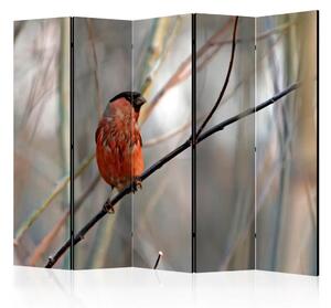 Paravento design Fringuello nella foresta II - uccello su sfondo alberi