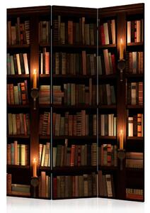 Paravento separè Scaffali con libri - composizione con libreria di legno
