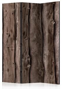 Paravento design Melodia in legno - composizione semplice su sfondo marrone