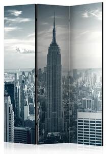 Paravento design Vista di Manhattan all'alba - grattacieli dall'alto