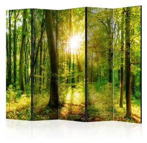 Paravento design Raggi della foresta II - paesaggio vegetale con sole