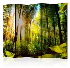 Paravento design Forest Hideout II - Paesaggio forestale con luce solare intensa
