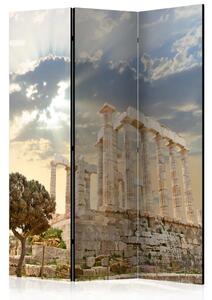 Paravento design Acropoli greca - albero e architettura storica contro il cielo limpido