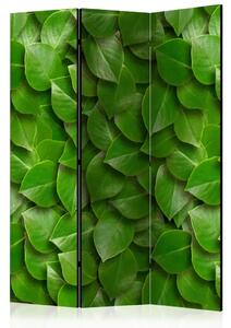 Paravento design Giardino segreto - composizione di texture vegetali con foglie verdi