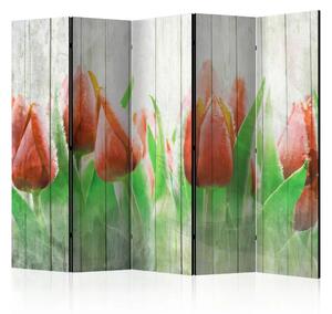 Paravento design Tulipani rossi su legno II - fiori di tulipano su sfondo di legno