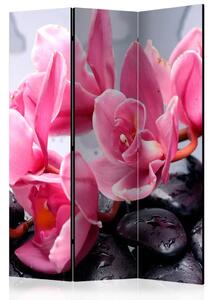 Paravento Fiori di Orchidea e Pietre - Rose rosa e sassi neri in stile zen
