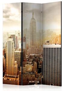 Paravento separè Sfiorato dal Vento - architettura di New York sotto la luce solare