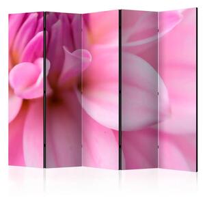 Paravento Petali Floreali - Dalie II - vellutati e romantici fiori rosa