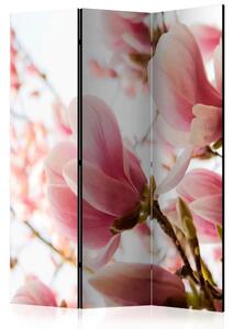 Paravento separè Magnolia Rosa - Pianta con fiori rosa su sfondo chiaro