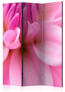 Paravento design Petali Floreali - Dalie - romantica composizione di fiore rosa