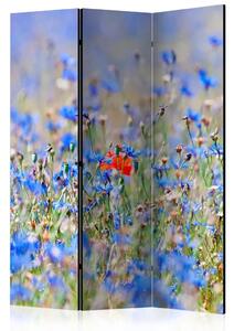 Paravento separè Prato Azzurro - Camomilla - Paesaggio estivo di fiori blu