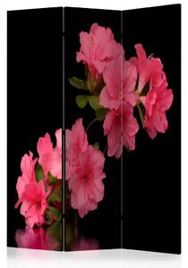 Paravento Azalea in Nero - Pianta con fiori rosa su sfondo nero uniforme