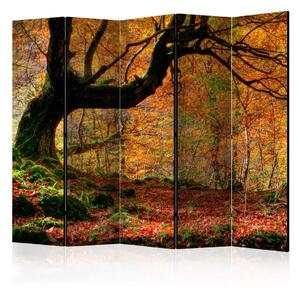 Paravento separè Autunno, Foresta e Foglie II - paesaggio autunnale dorato