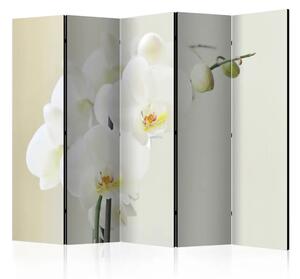 Paravento Orchidea bianca II - Fiore bianco di orchidea su sfondo chiaro sfumato