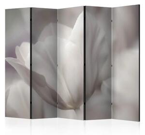 Paravento Tulipano - Foto in bianco e nero II - Tulipano in contrasto sbiadito