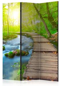 Paravento design Foresta verde - Ponte di legno con sole nella foresta