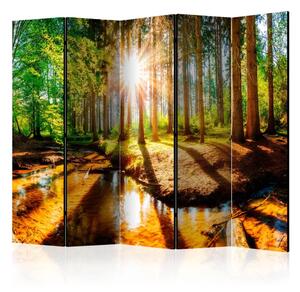 Paravento Meravigliosa Foresta II - Paesaggio di un fiume tra alberi al sole