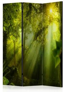 Paravento design Nella Foresta Misteriosa II - Composizione verde di alberi al sole