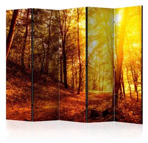 Paravento design Passeggiata Autunnale II - Paesaggio dorato di alberi autunnali