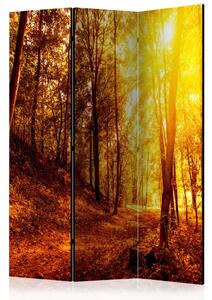 Paravento separè Passeggiata Autunnale - Paesaggio dorato di alberi