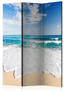 Paravento separè Lungo la Riva del Mare - Paesaggio del mare blu con cielo nuvoloso