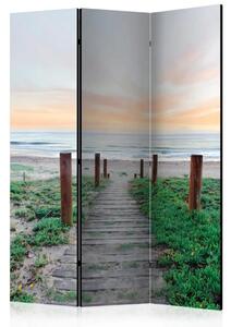 Paravento Tra l'erba - Paesaggio di spiaggia e mare al tramonto