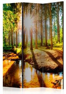 Paravento design Incantevole Foresta - Paesaggio di un fiume tra gli alberi al sole