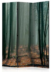 Paravento separè Foresta delle streghe - Foresta in atmosfera nebbiosa