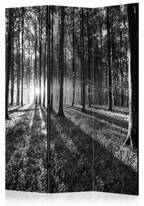 Paravento separè Foresta Grigia - Paesaggio in bianco e nero di una foresta densa