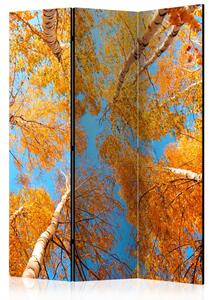 Paravento design Corone degli alberi autunnali - Foglie arancioni