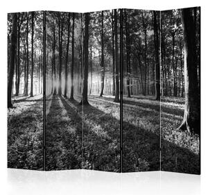 Paravento Foresta grigia II - Paesaggio boschivo in bianco e nero