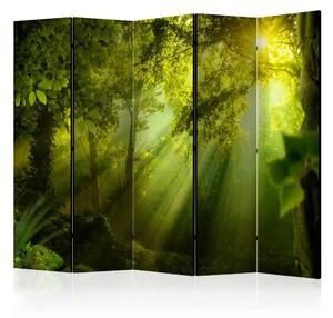Paravento Nella Foresta Misteriosa II - Paesaggio verde di una foresta al sole