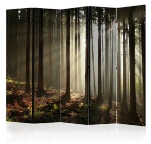 Paravento design Foresta di conifere - Nebbia mattutina II - Alberi alti