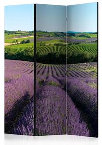 Paravento separè Campi di lavanda - Paesaggio provenzale con fiori viola