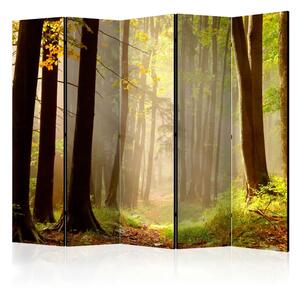 Paravento design Sentiero nel bosco misterioso II - Paesaggio tra alberi