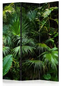 Paravento Giungla soleggiata - foglie verdi di piante tropicali