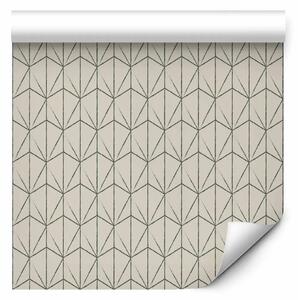 Tappezzerie Minimalismo geometrico