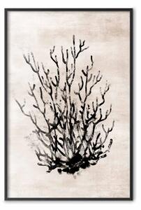 Poster: Vegetazione acquatica - composizione marina, sfondo chiaro beige