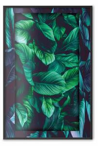 Poster: Giungla pericolosa - composizione verde di foglie in tema tropicale