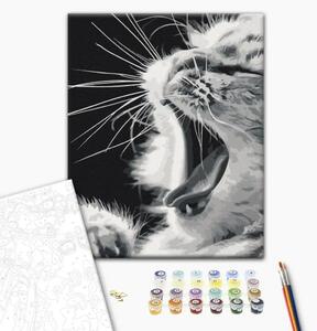 Quadro da dipingere con i numeri Gattino che sbadiglia