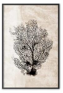 Poster: Ventaglio marino - composizione scura piante, sfondo beige