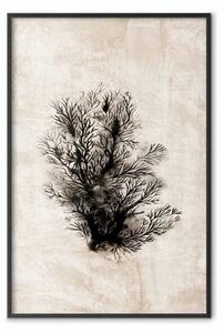 Poster: Flora oceanica - composizione nera di piante su texture beige